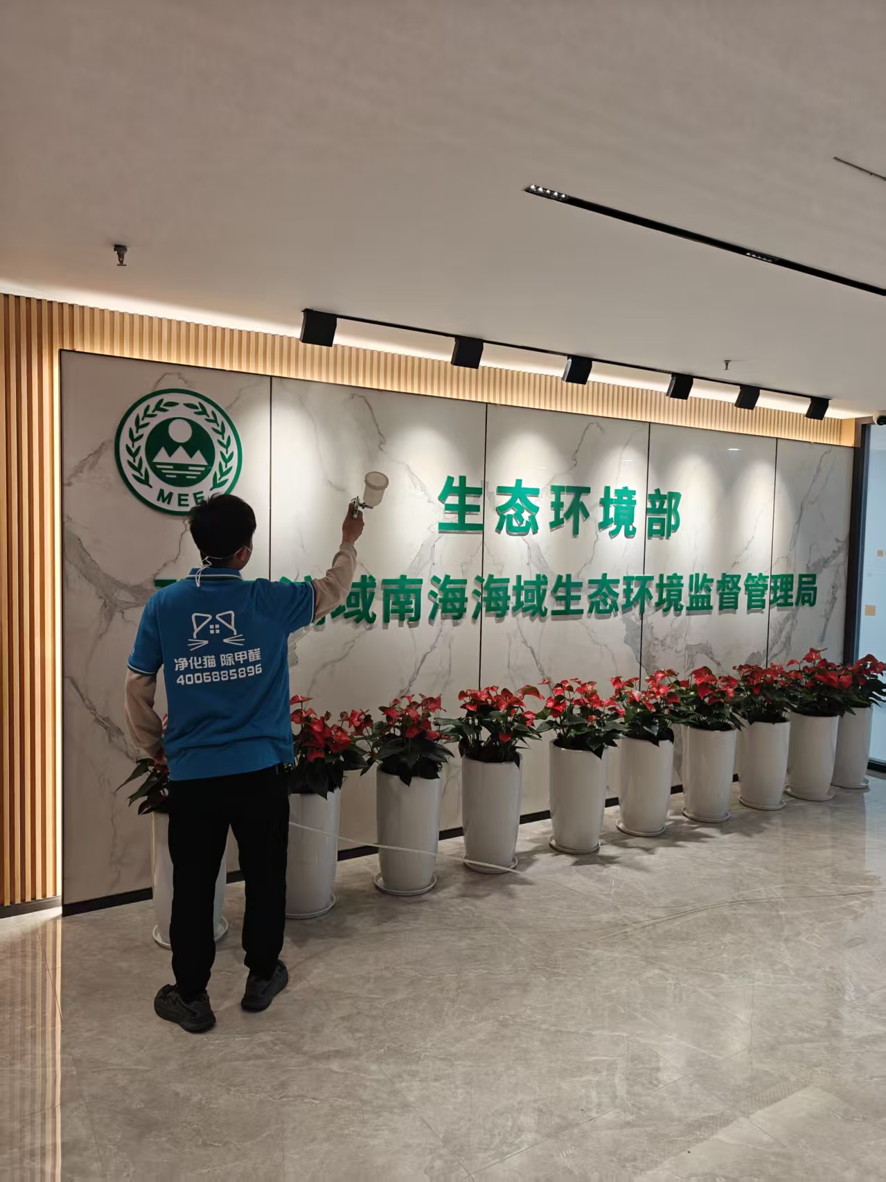 再获认可!生态美家为“海洋生态守护者”打造清新办公空间
